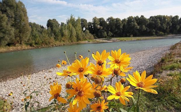 Ca' Del Mate Villa San Giovanni Lupatoto Kültér fotó